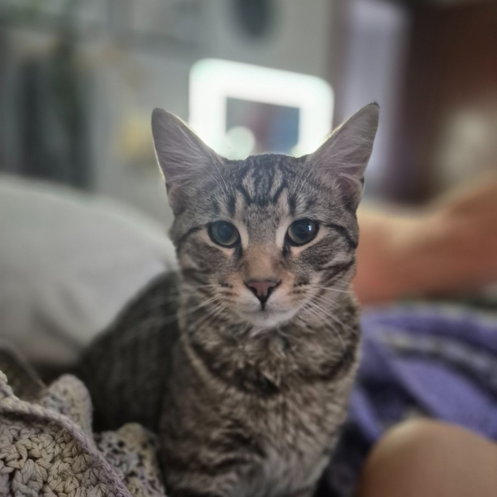 Meet your Posher, Gabriella